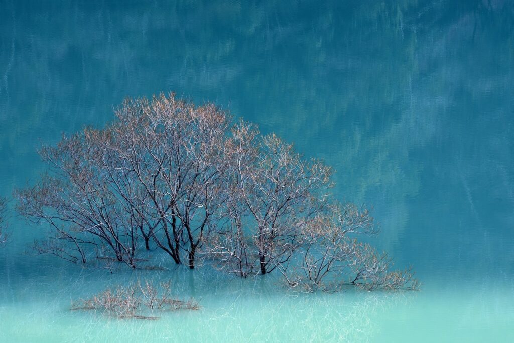 was anyone born on december 6 2006