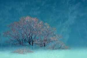 was anyone born on december 6 2006