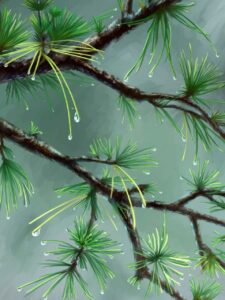 was anyone born on december 6th 2006