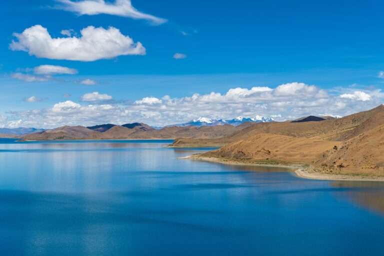 wedding dress marriage nicolle wallace wedding