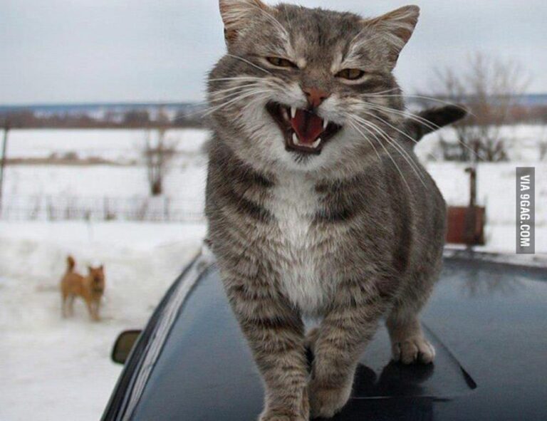 active learning guide fparentips