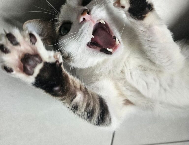 communication tips fparentips