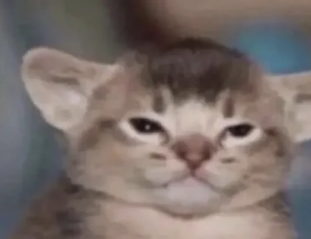 entrepreneurial tips fparentips