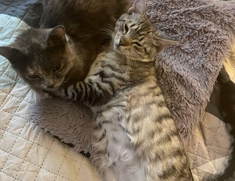 family education nitkaedu