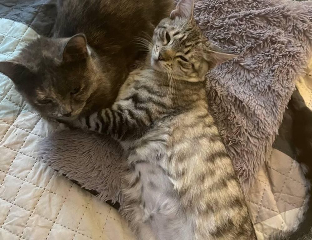 family education nitkaedu