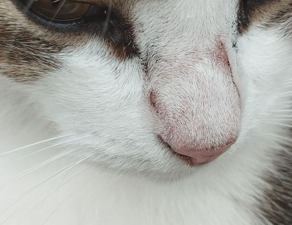 family education nitkaedu