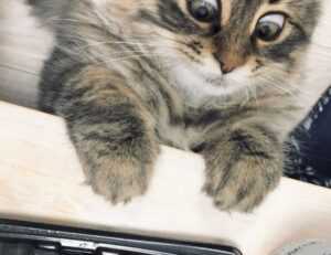 fpmomhacks parenting hacks from famousparenting