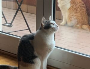 llblogfamily healthy nutrition by lovelolablog