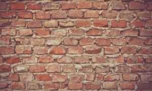 nutrition guide fparentips