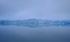 nutritional advice llblogfamily