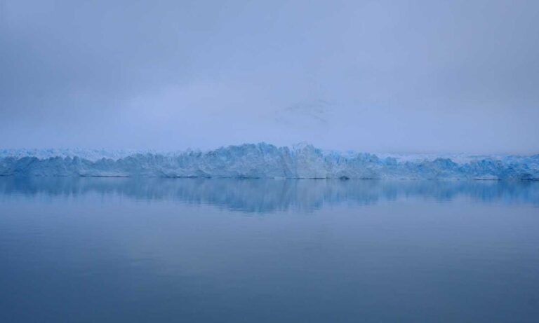 nutritional advice llblogfamily