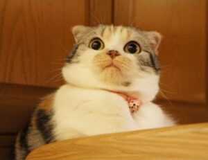 parenting done easily convwbfamily