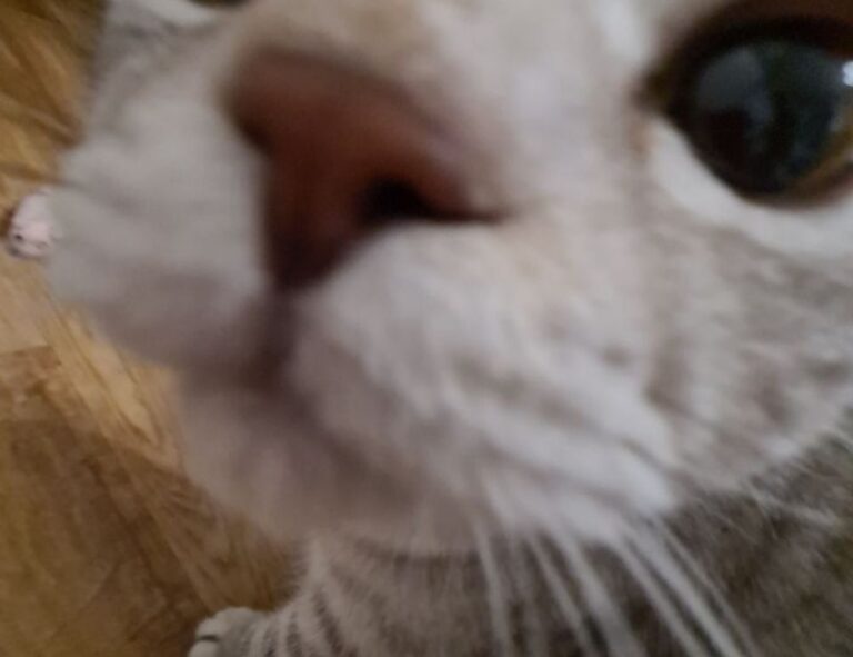 parenting tips fpmomhacks