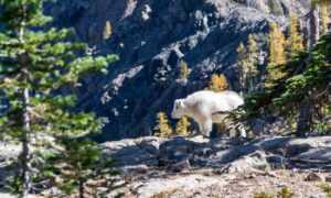 relations tips fpmomhacks