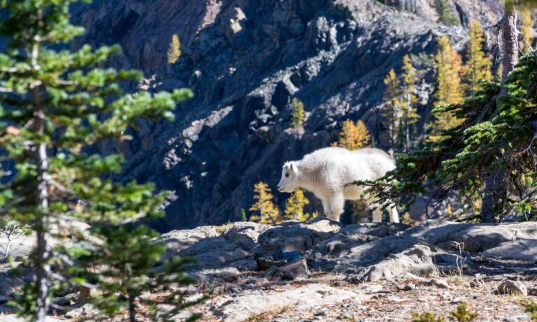 relations tips fpmomhacks