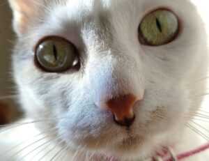 relationship guide fpmomhacks