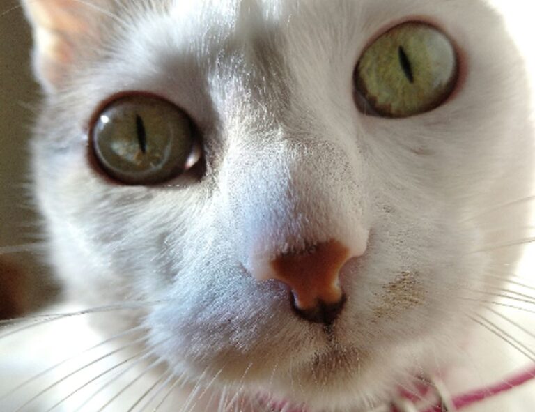 relationship guide fpmomhacks