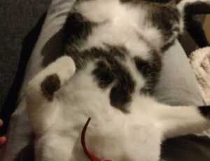 relationship tips fpmomhacks