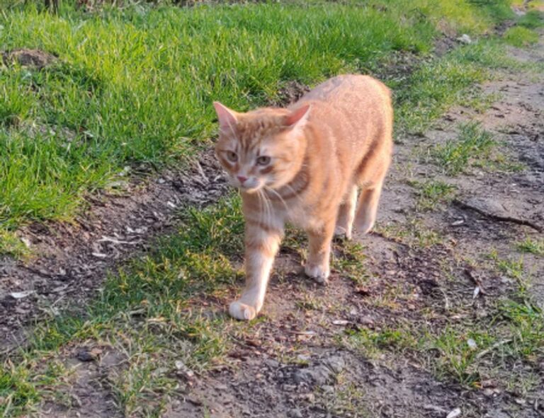 school education nitkaedu