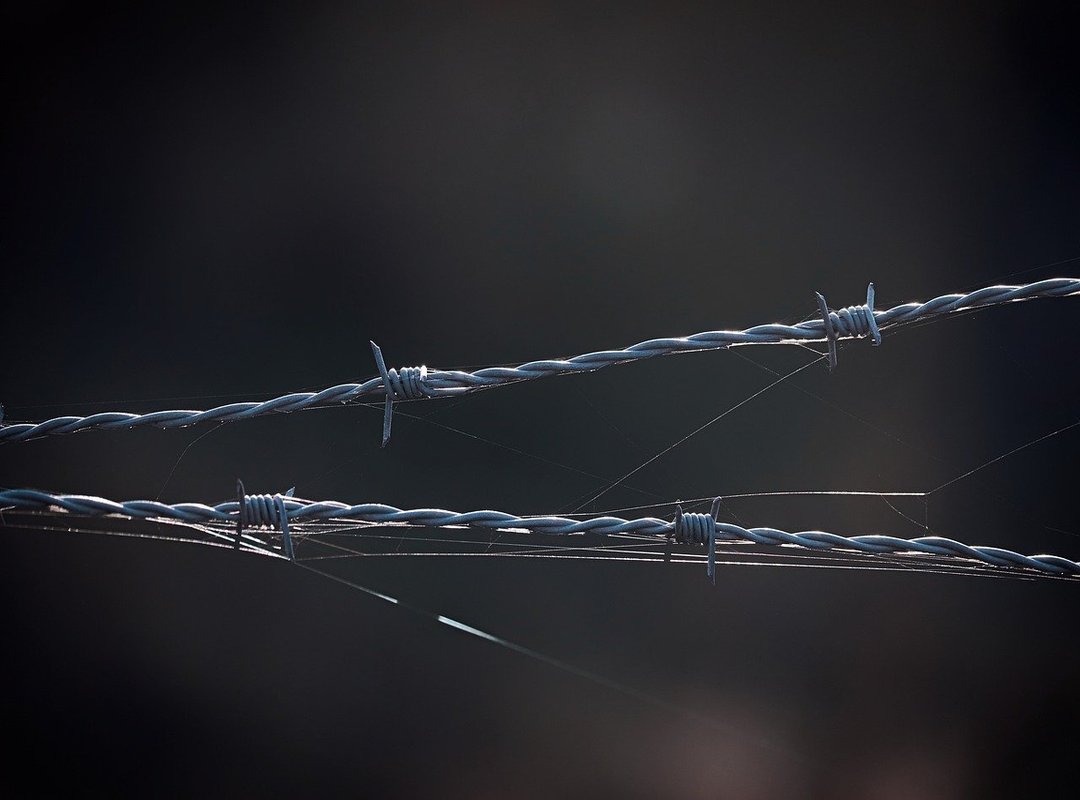 How to Parent Convwbfamily