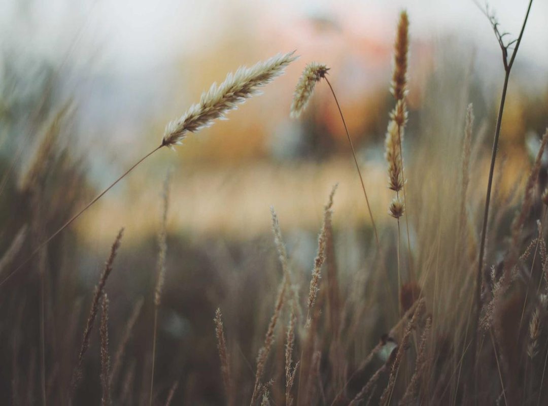 Funny & Unforgettable Meme-Worthy Matching Pictures