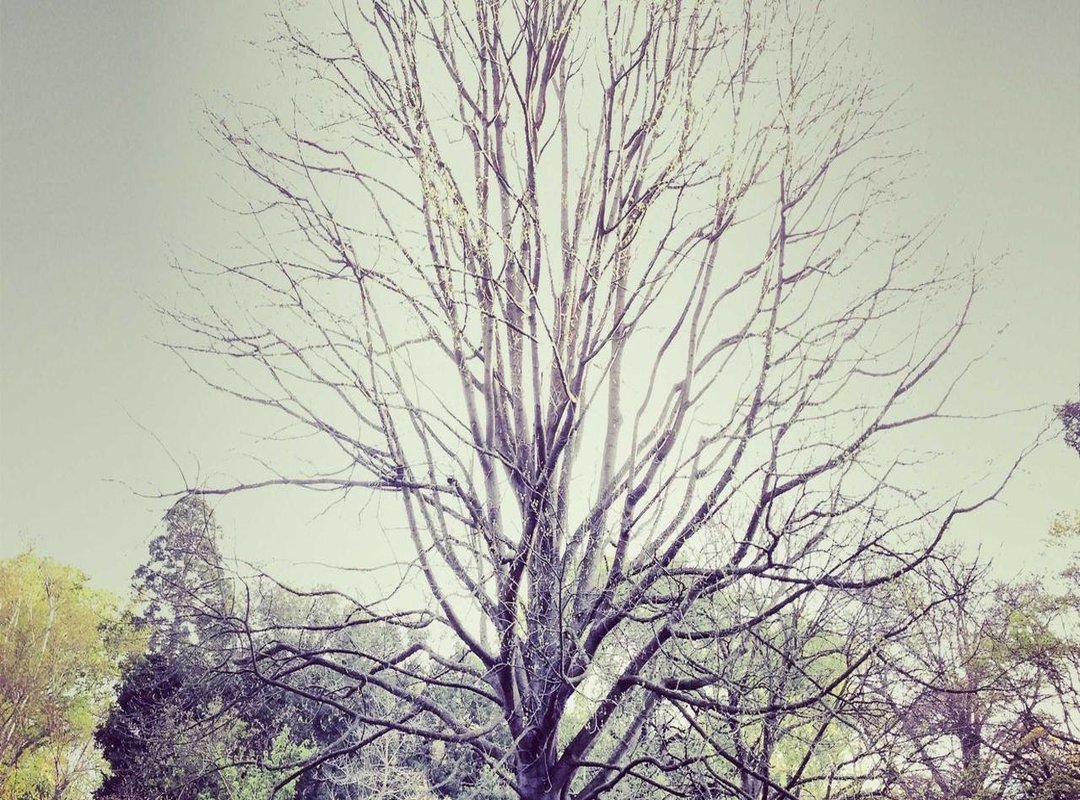 How to Manage Your Funds: Deposits and Withdrawals