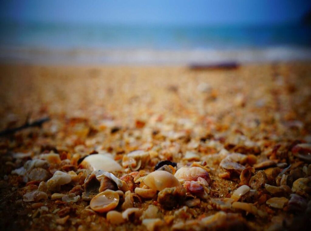 bologna fc 1909 - atalanta bergamo opstellingen