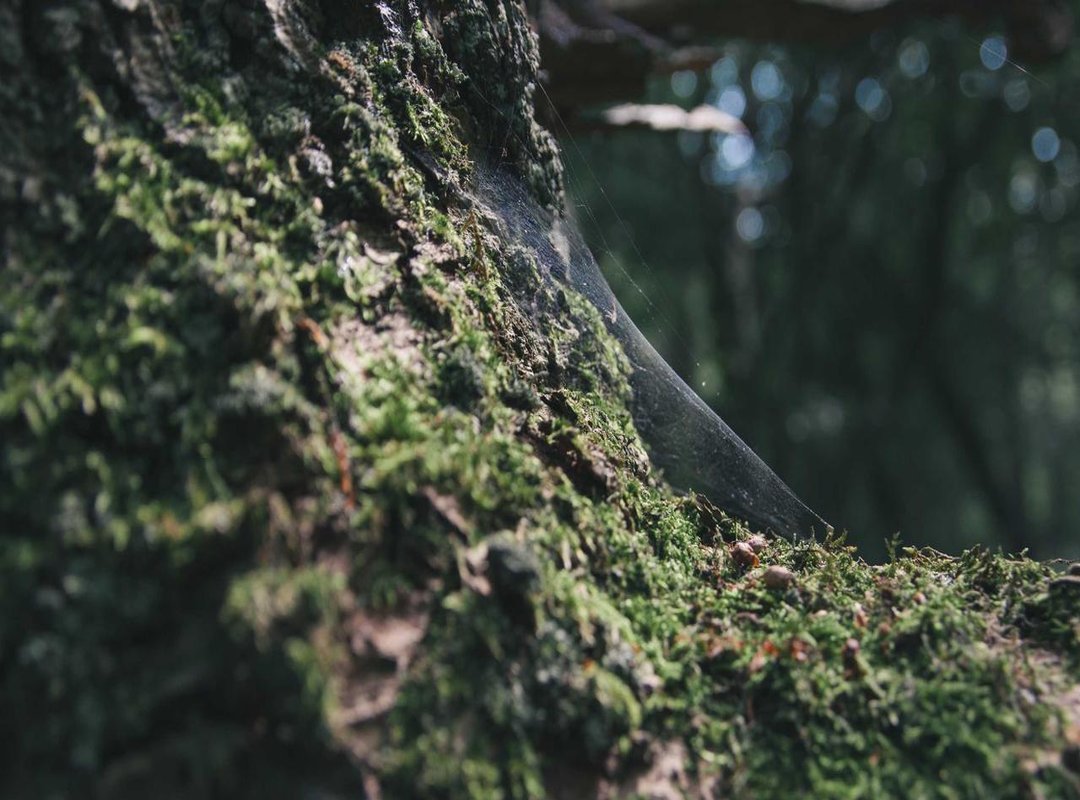 Finding Inspiration: How to Discover Your Perfect Design