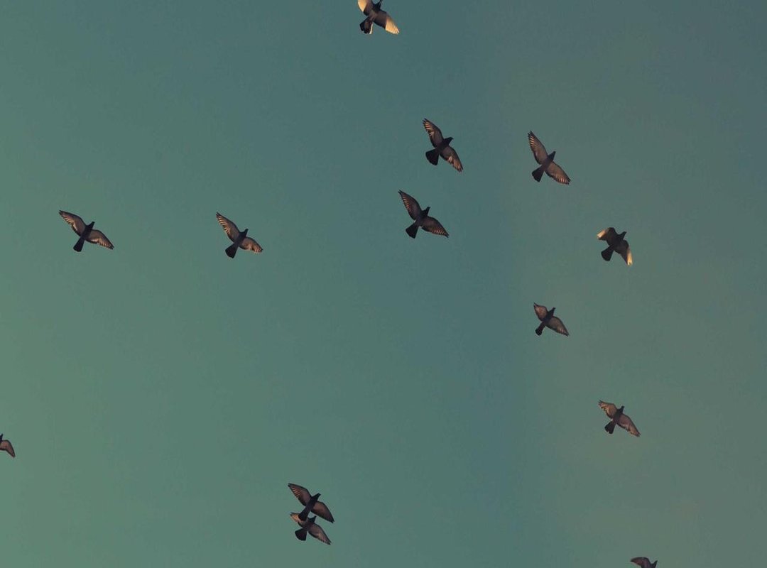 Decoding the Lyrics: What 'Quiero Agua' Really Means