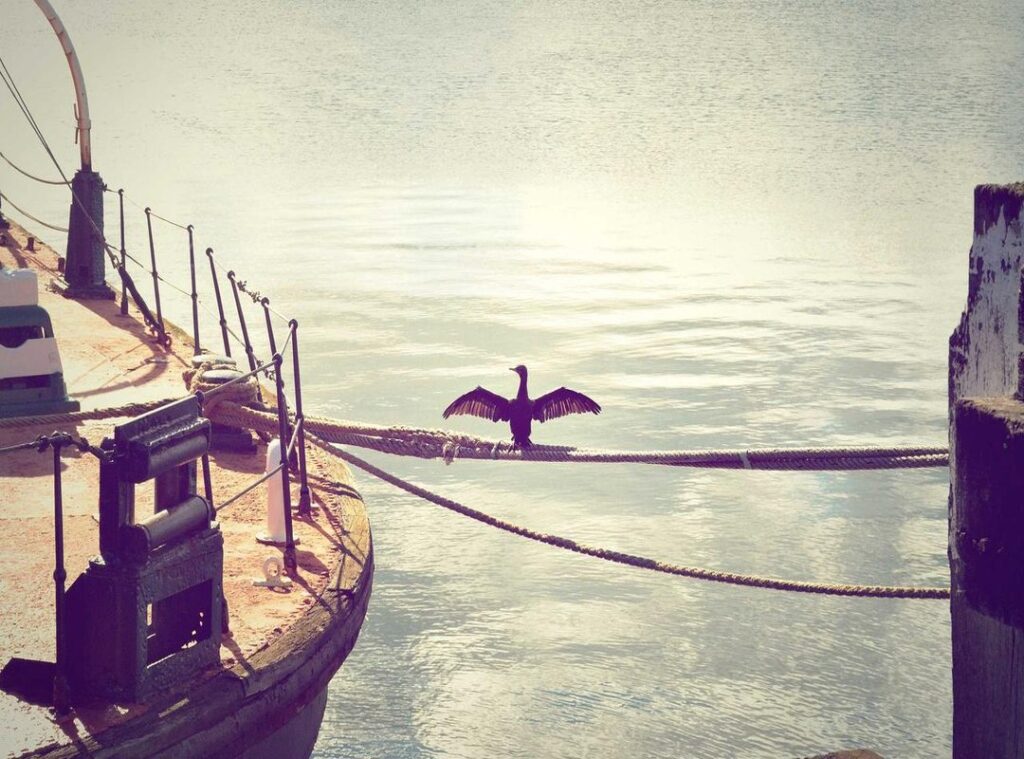 nuorten poikien hiusmallit