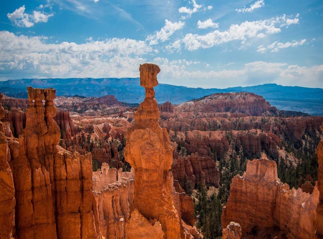 Frequently Asked Questions (FAQs)