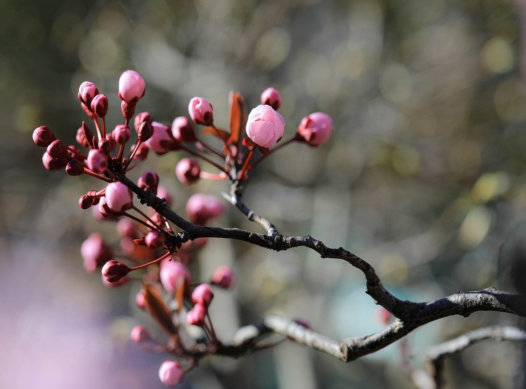 The 'Eye of the Storm' Quest at Veridian Cay